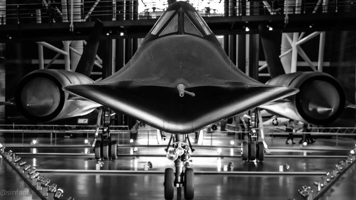 Blackbird.jpg