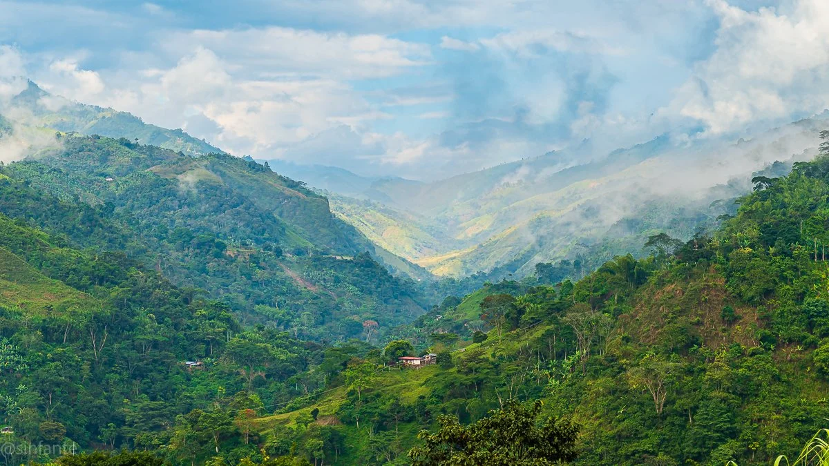 Cocora, Colombia