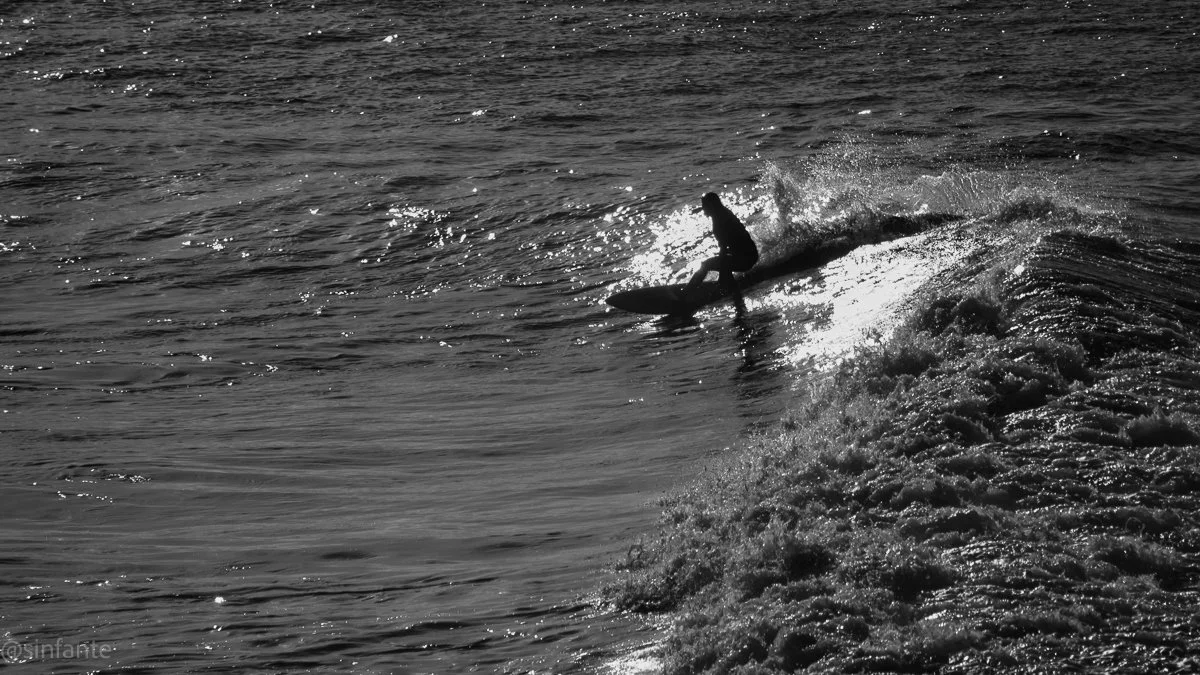 surfer BW.jpg