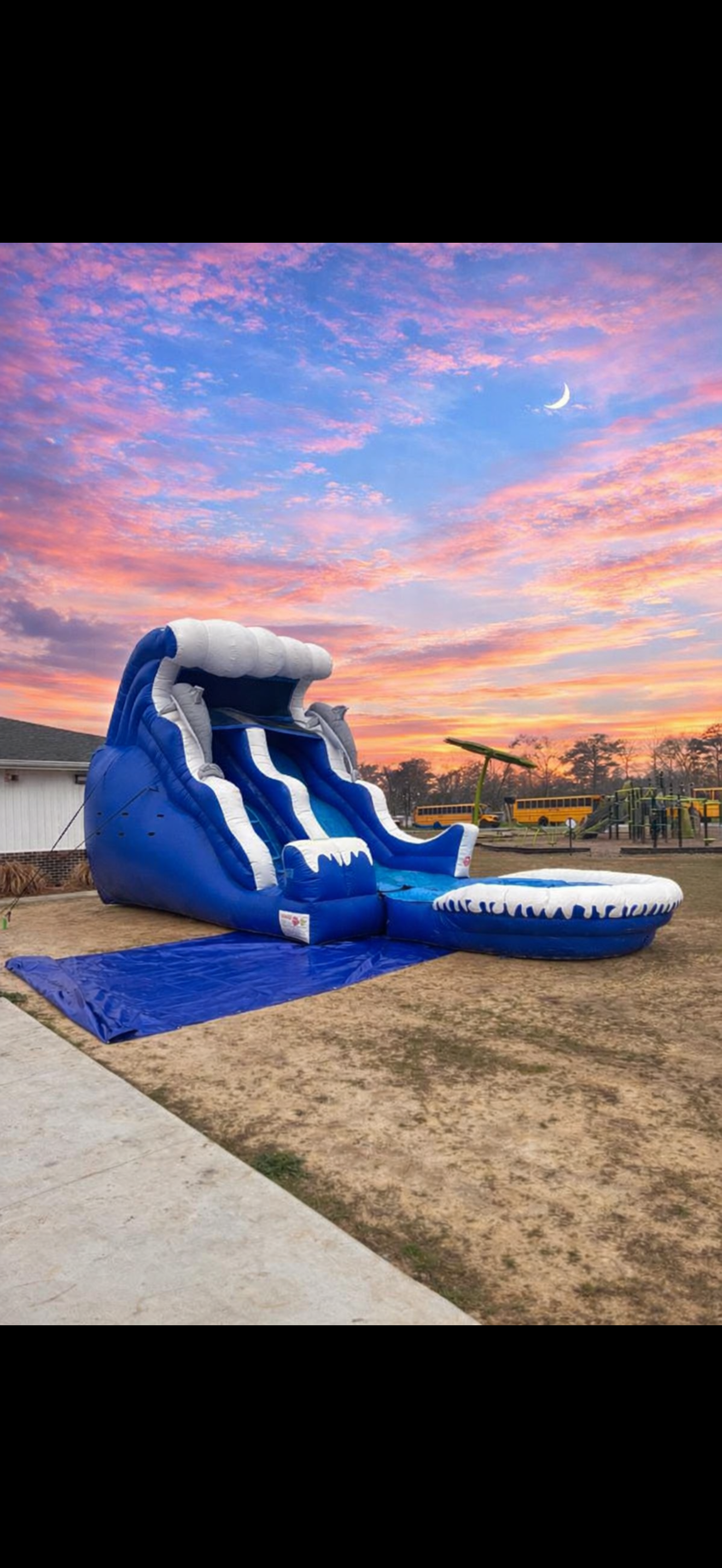 Dolphin Slide