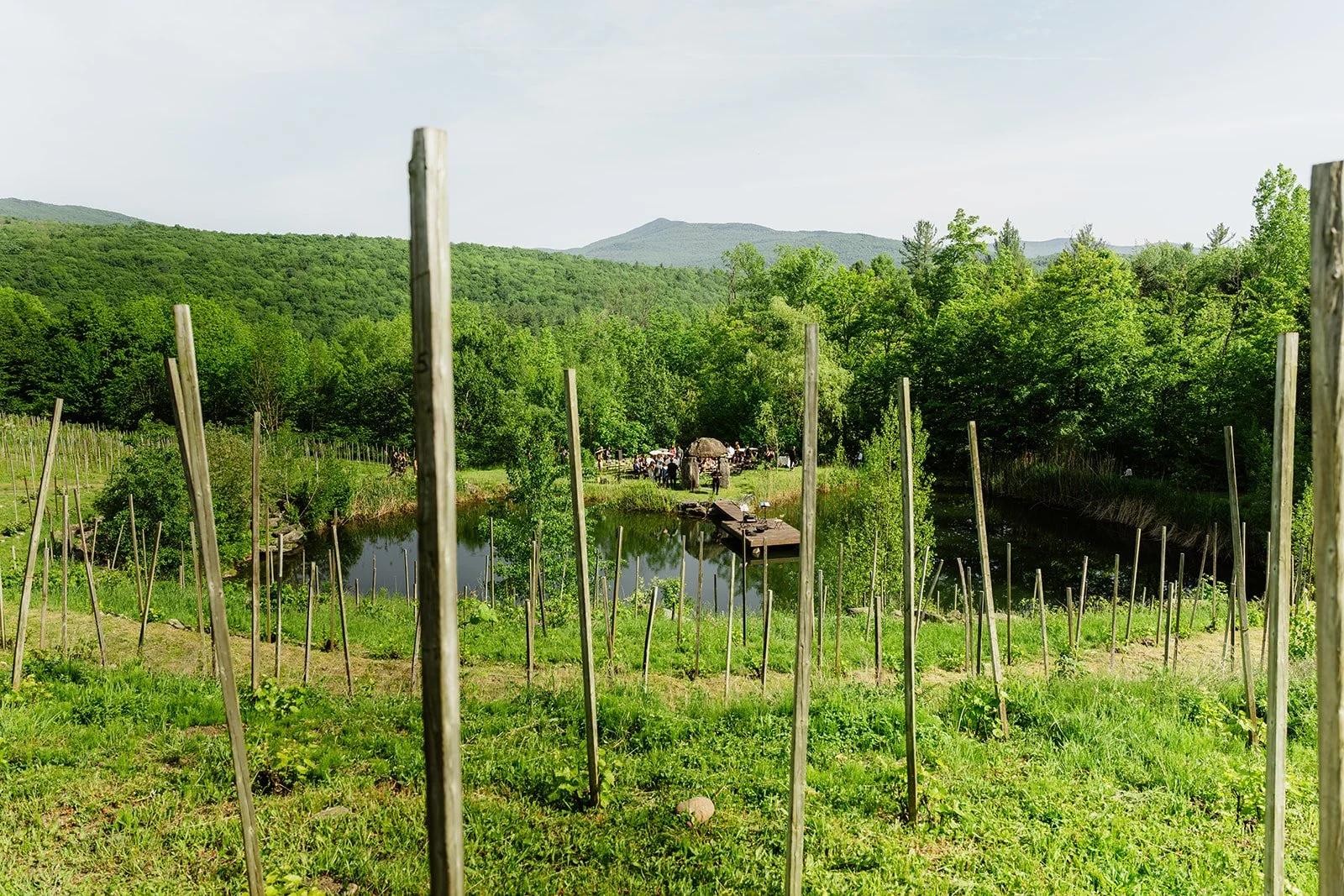 A lush green landscape with a pond in the center, surrounded by wooden stakes and a small dock. In the background, there are groups of people gathered beneath trees, with a mountain range and forested hills further beyond.
