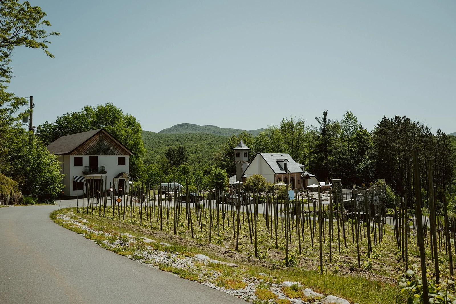A rural scene with a vineyard in the foreground, a white house with a dark roof on the left, and a small church with a bell tower and outdoor seating in the background, surrounded by green trees and hills under a clear blue sky.