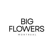 Text with the words 'BIG FLOWERS MONTREAL' on a white background