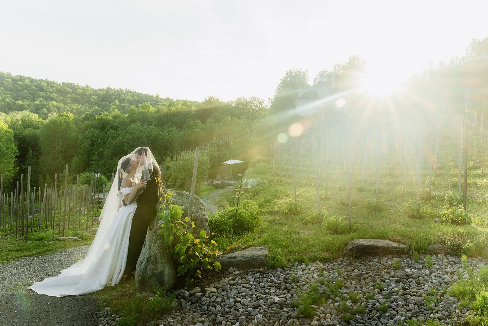 A bride and groom share a kiss beneath a veil on a sunny outdoor wedding day, with lush green hills and vineyard stakes in the background.