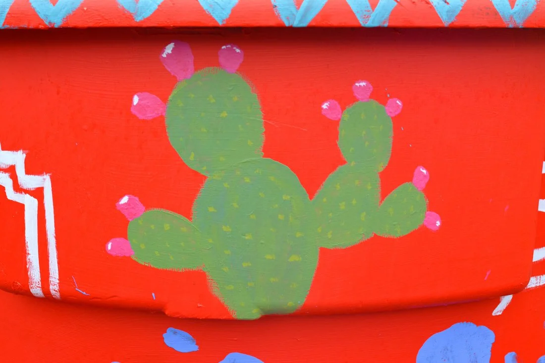 Copy of DAM 5. NMSA.jpeg