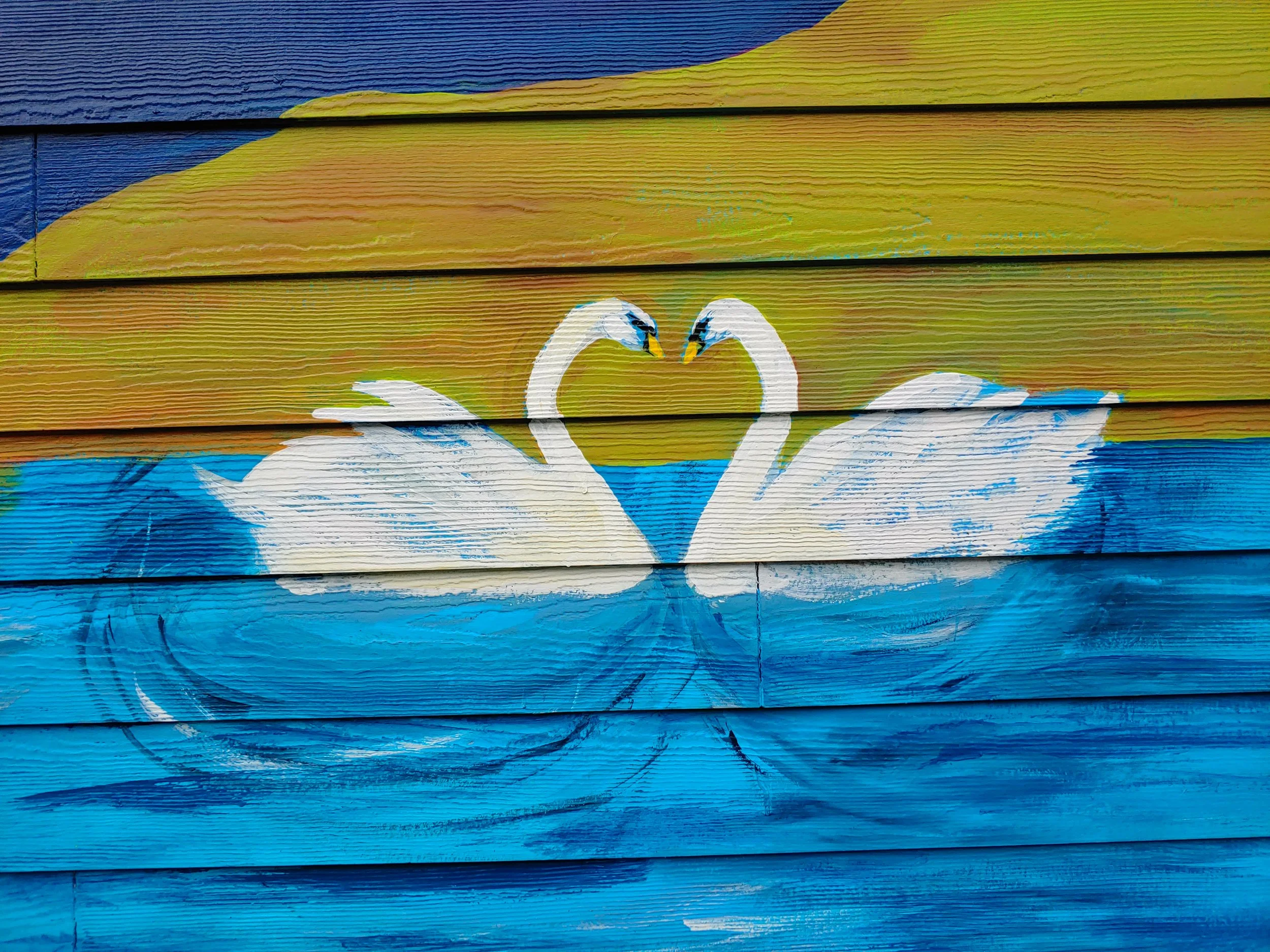 Copy of 20191015_130049.jpg