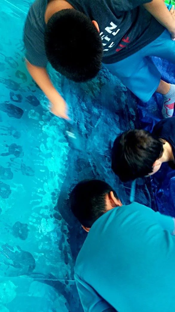 Copy of DAM 9. South Shore.jpg