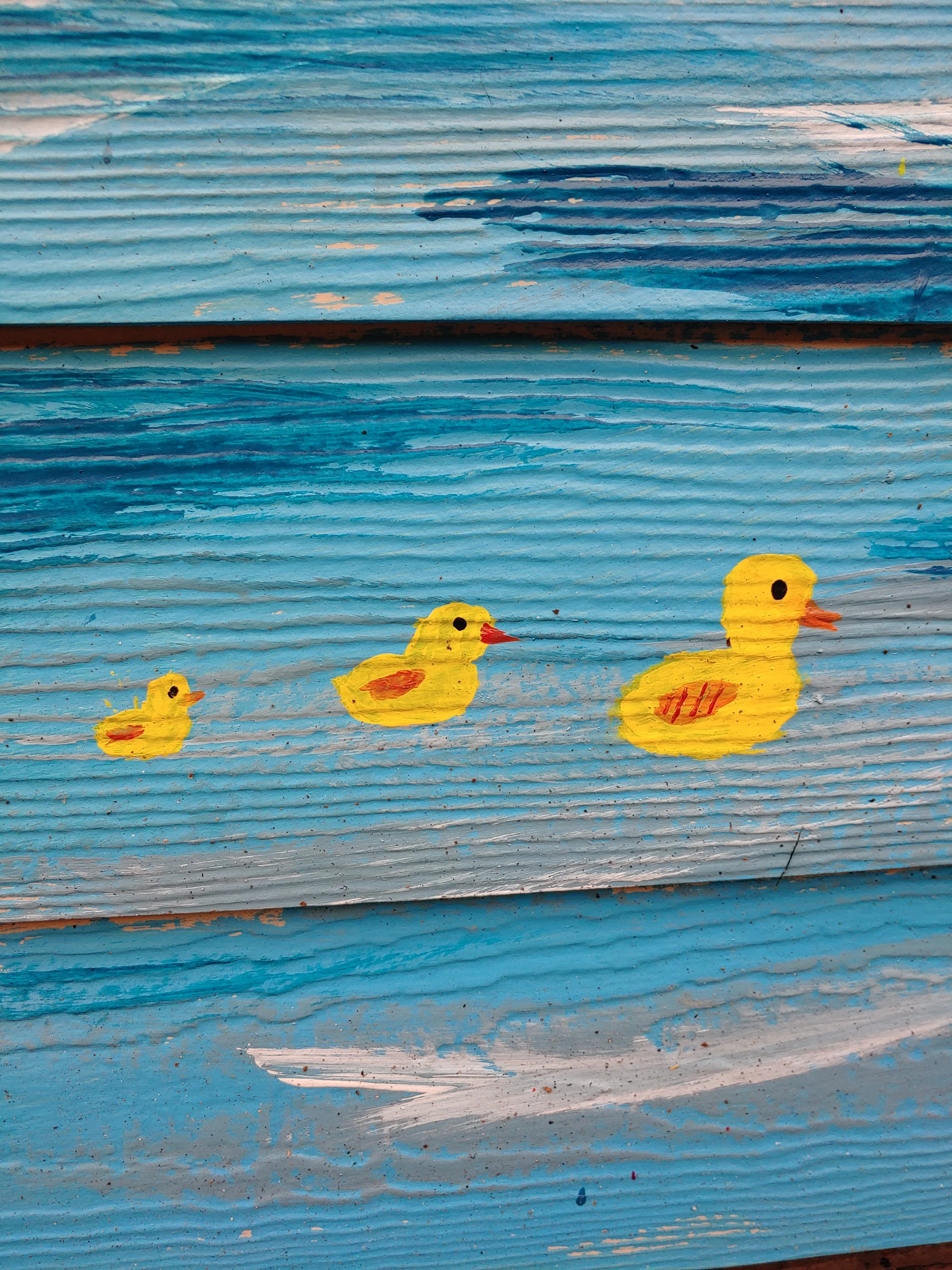 Copy of 20191015_102232.jpg