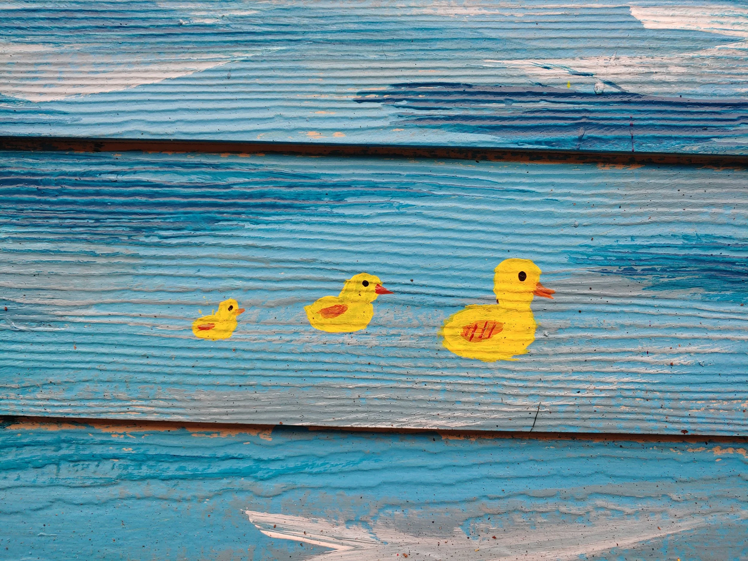 Copy of 20191015_101919.jpg