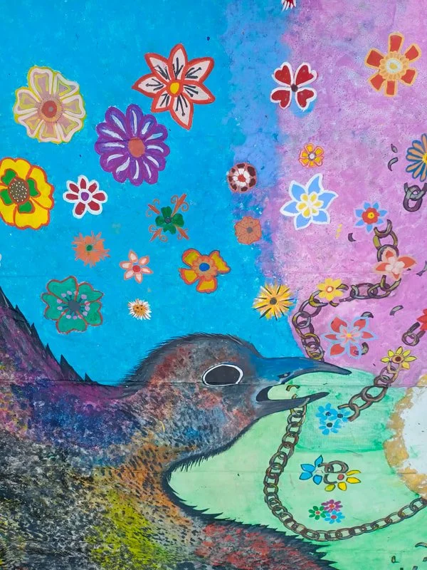 Copy of DAM India 5. Cheeru.jpg