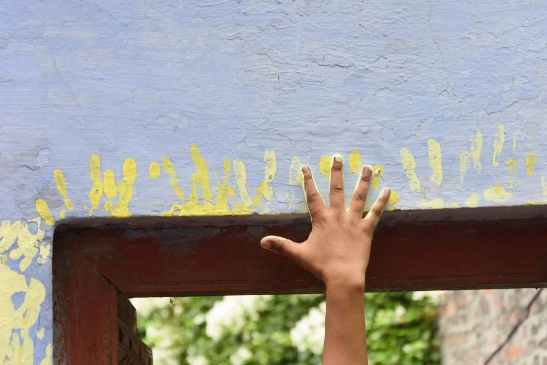 Copy of DAM India 27. Aam ke Bangh.jpg