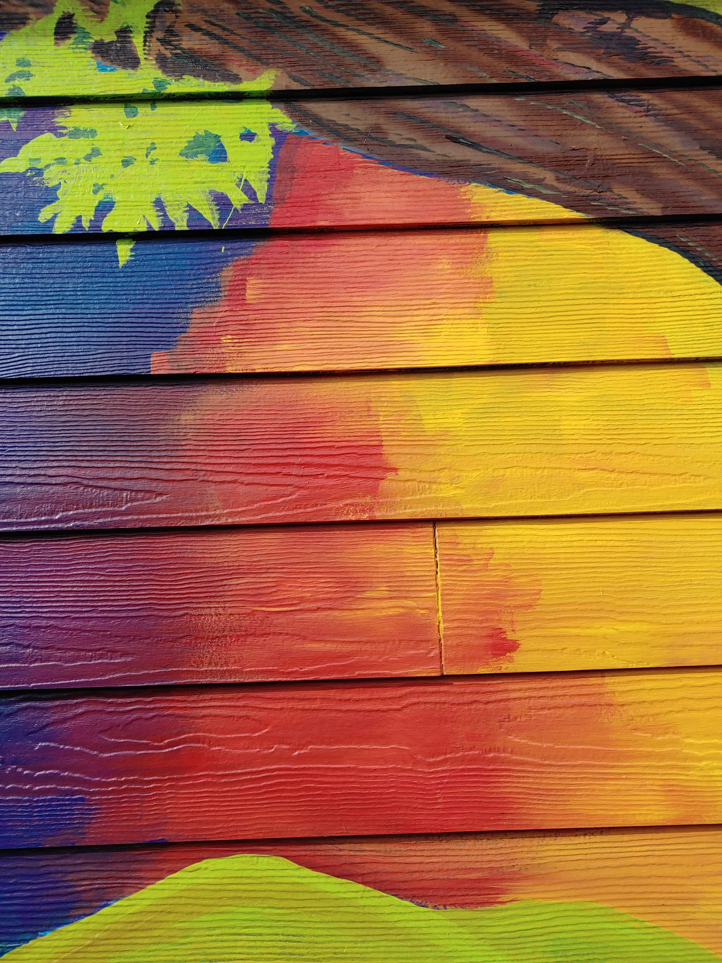 Copy of 20191019_120210.jpg