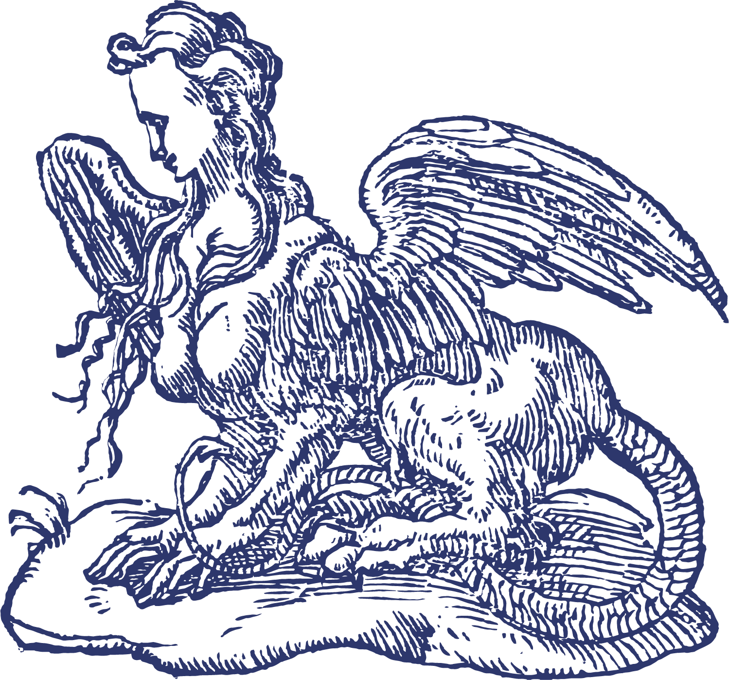 Line art illustration of a dragon with wings, claws, and a long tail.