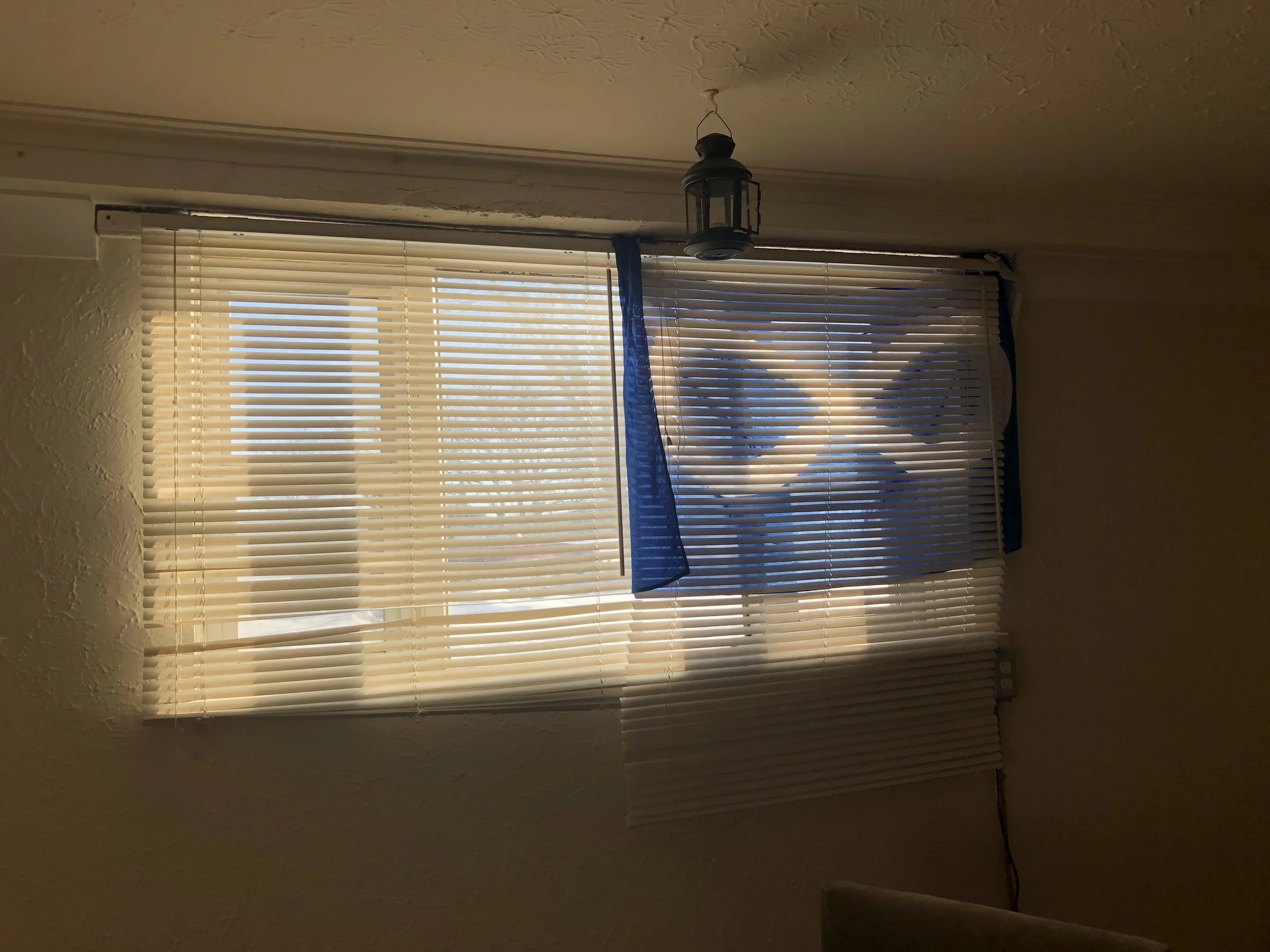 “We are the True Canadians”: The (Métis) Canadian Monopolization on Métis History&nbsp;