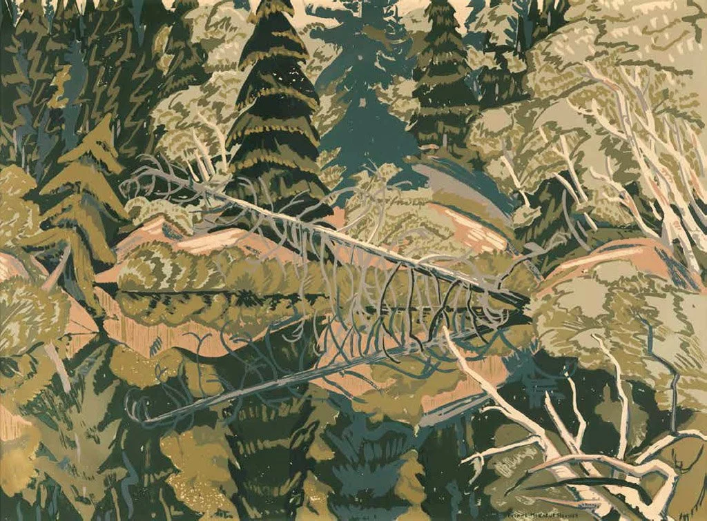 A stylized illustration of a forest floor with dense green foliage, fallen branches, and rocks.