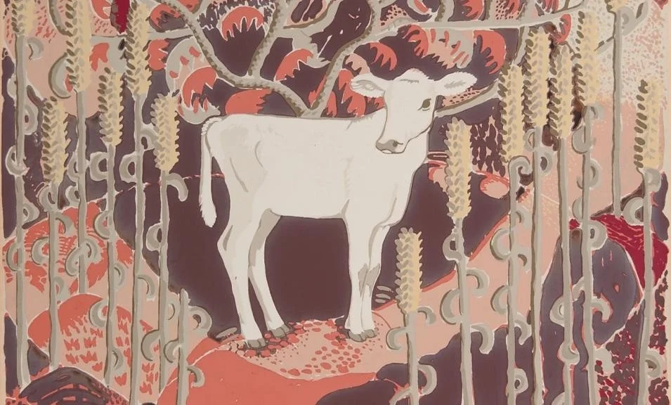 A white cow standing among tall trees and plants with reddish and beige leaves, with a fenced area in front.