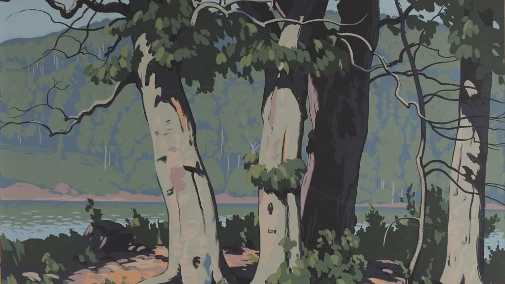 Illustration of a lakeside scene with large trees, green foliage, and a body of water in the background.