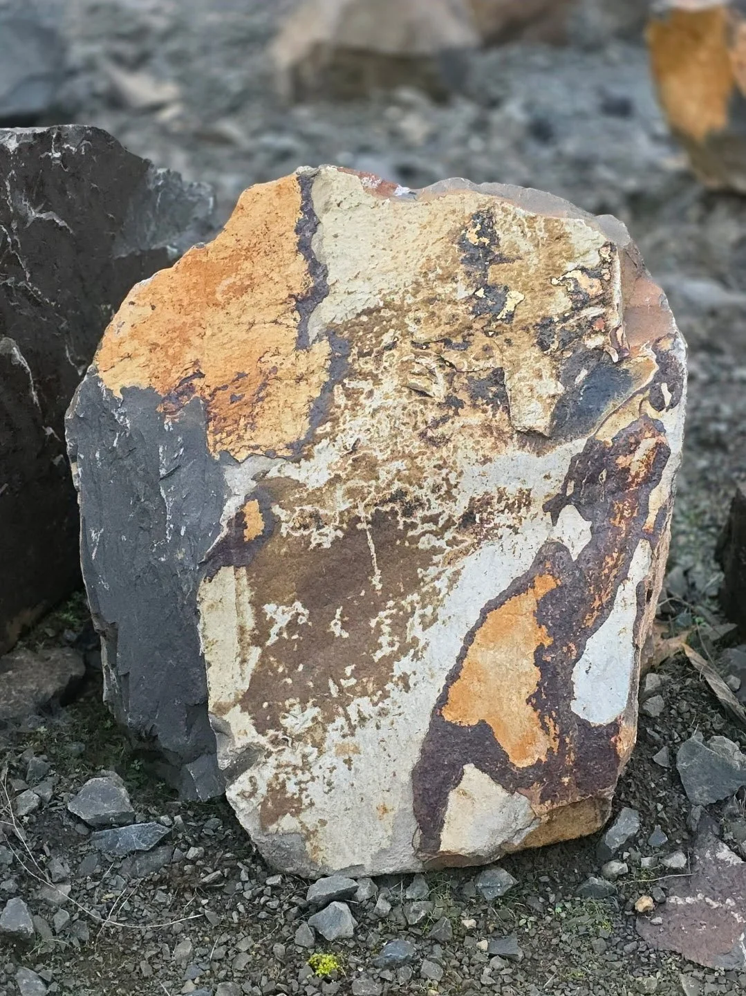 A large rock with brown, orange, black, and white patches, resting among smaller rocks and gravel outdoors, is referred to as a Riprap boulder or wall rock. Contact Bedrock Holdings Group for more products at our Liberty Road location.
