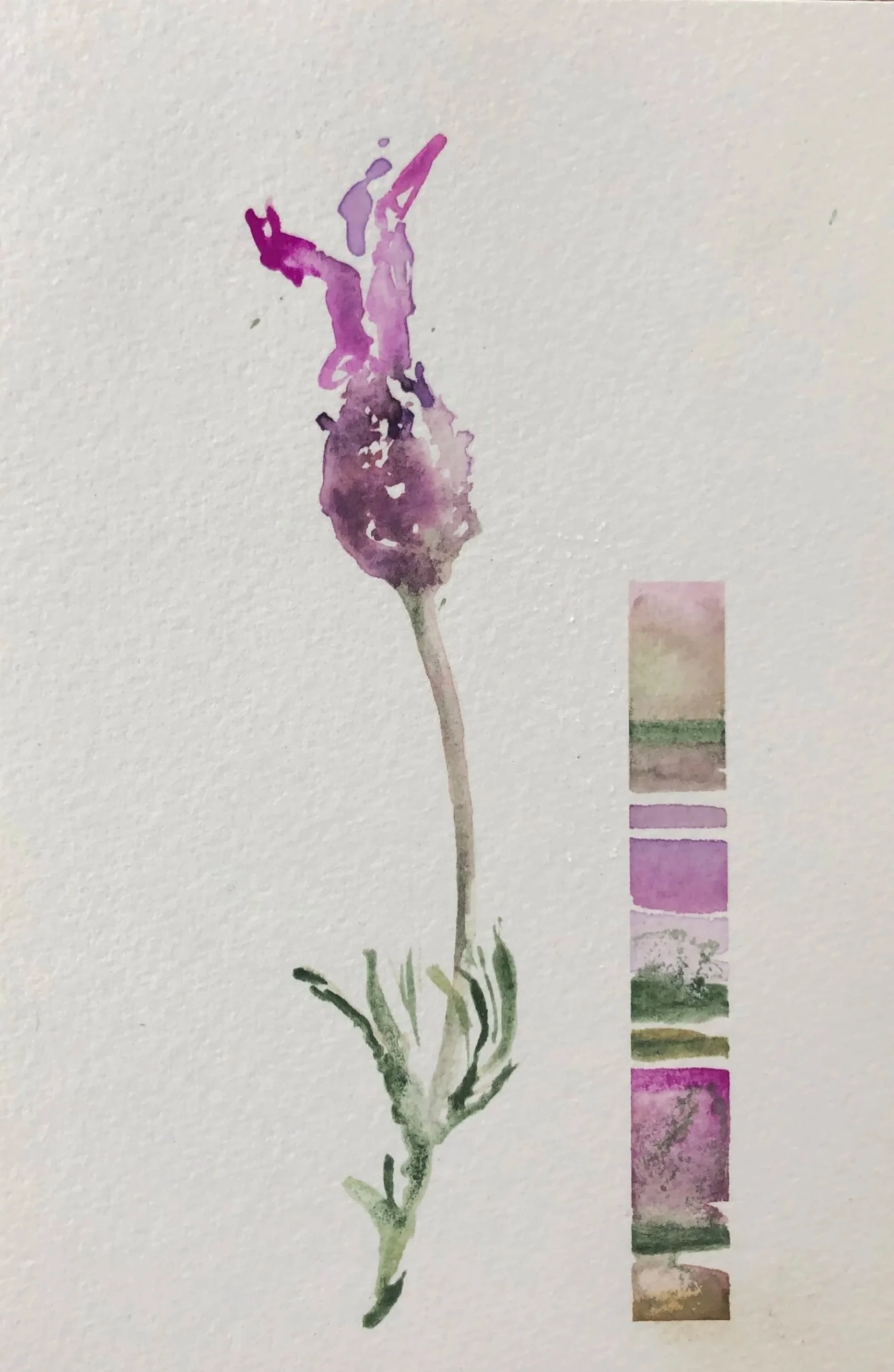 A watercolor painting of a purple flower with a light green stem and leaves, accompanied by a color palette with various shades of pink, purple, green, and beige.