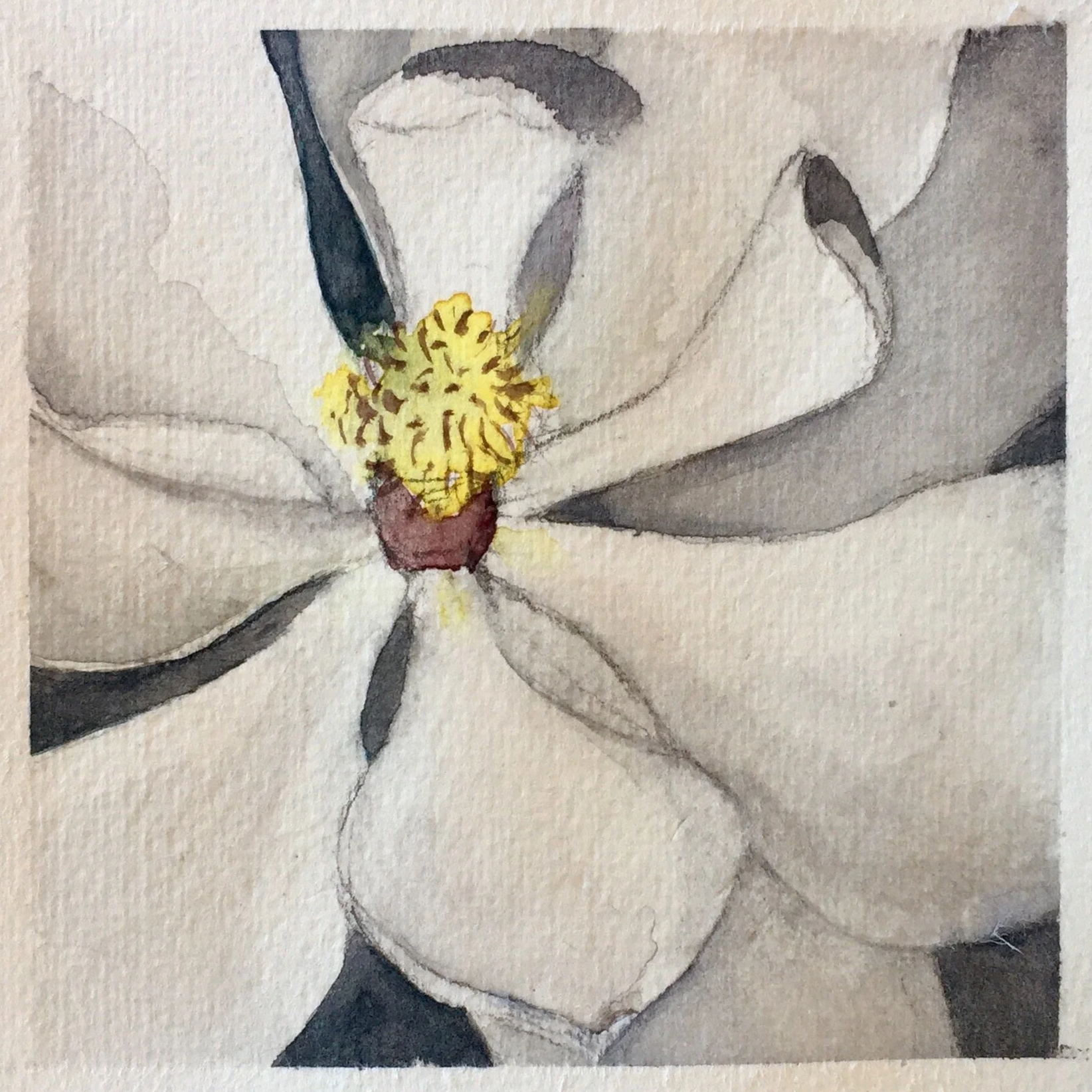 A watercolor painting of a magnolia flower with large white petals, a yellow center, and a reddish-brown base.