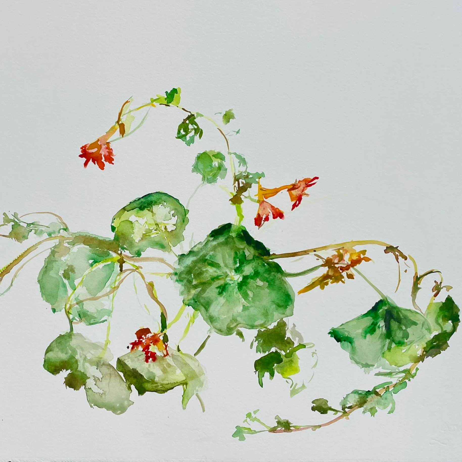 A watercolor painting of green and red leaves and flowers on a white background.