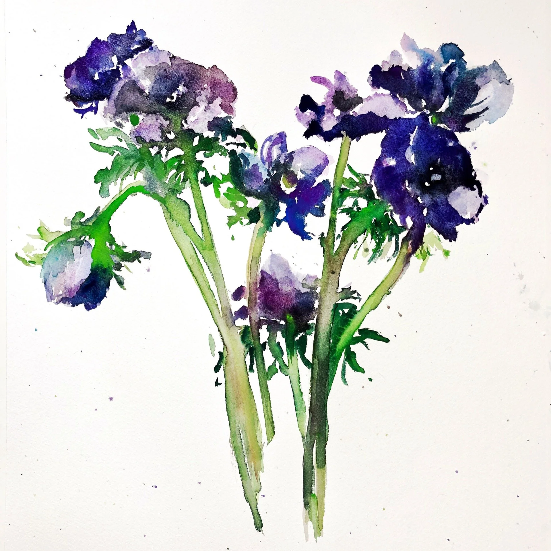 Watercolor painting of purple flowers with green stems on a white background.
