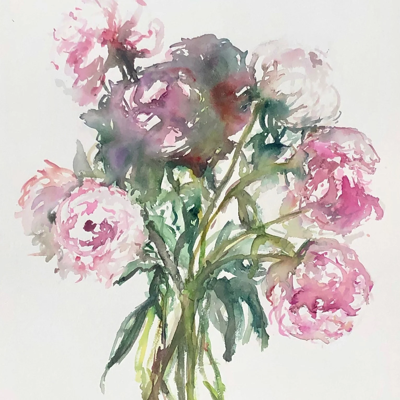 A watercolor painting of pink peonies with green foliage on a white background.
