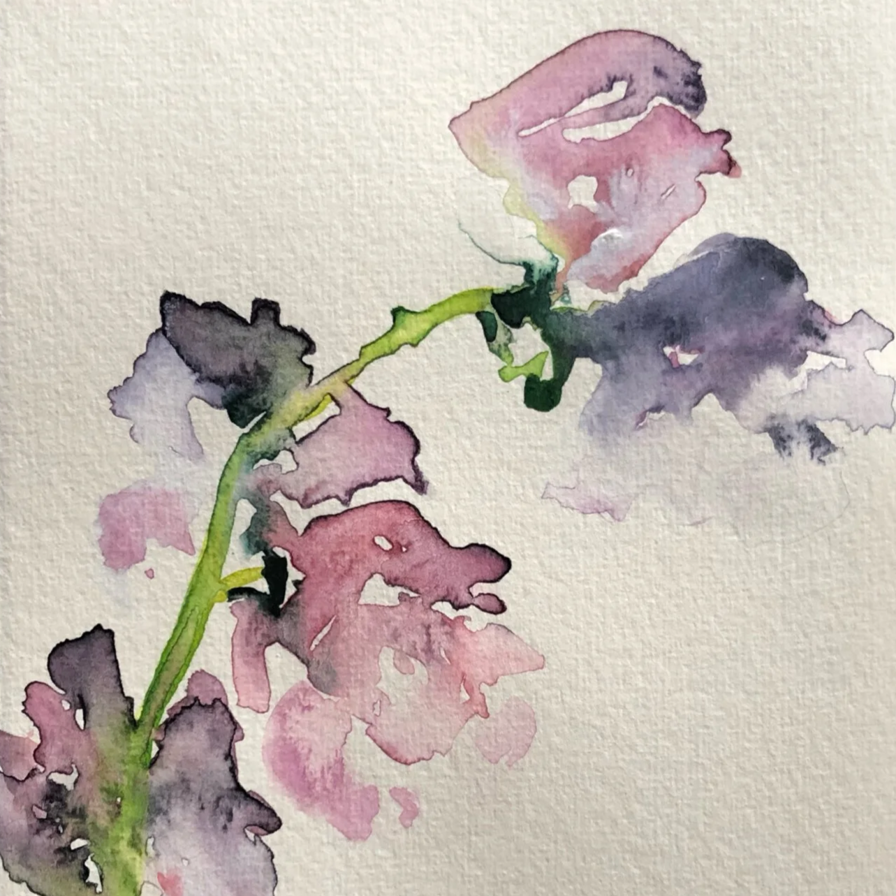 Watercolor painting of a purple and pink flower with green stem on textured paper.