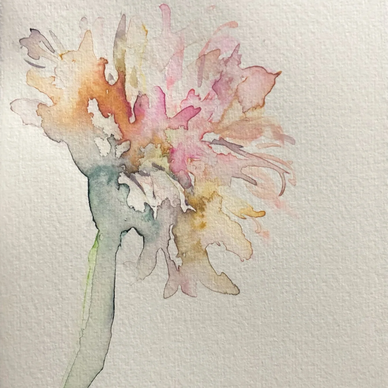 Watercolor painting of a flower with soft pastel colors including pink, orange, yellow, and green.