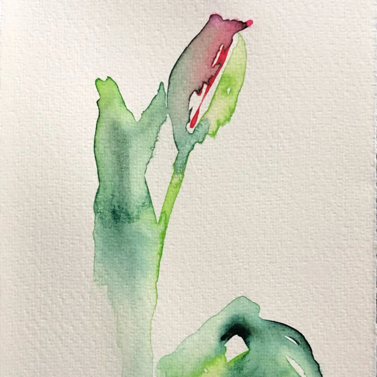 Watercolor painting of a pink and green flower bud with a green leaf on textured paper.
