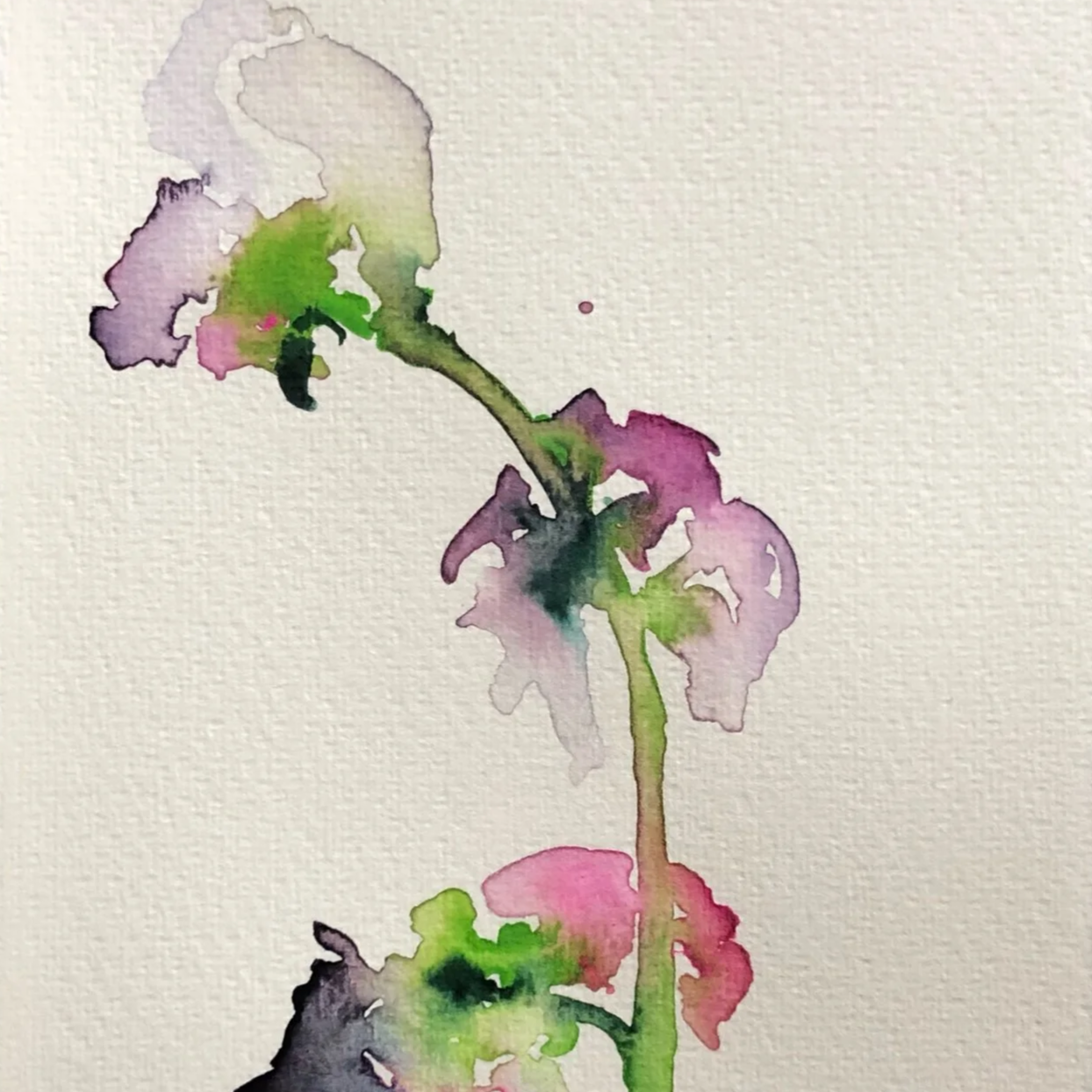 Abstract watercolor painting of a flower with pink, purple, green and black hues.