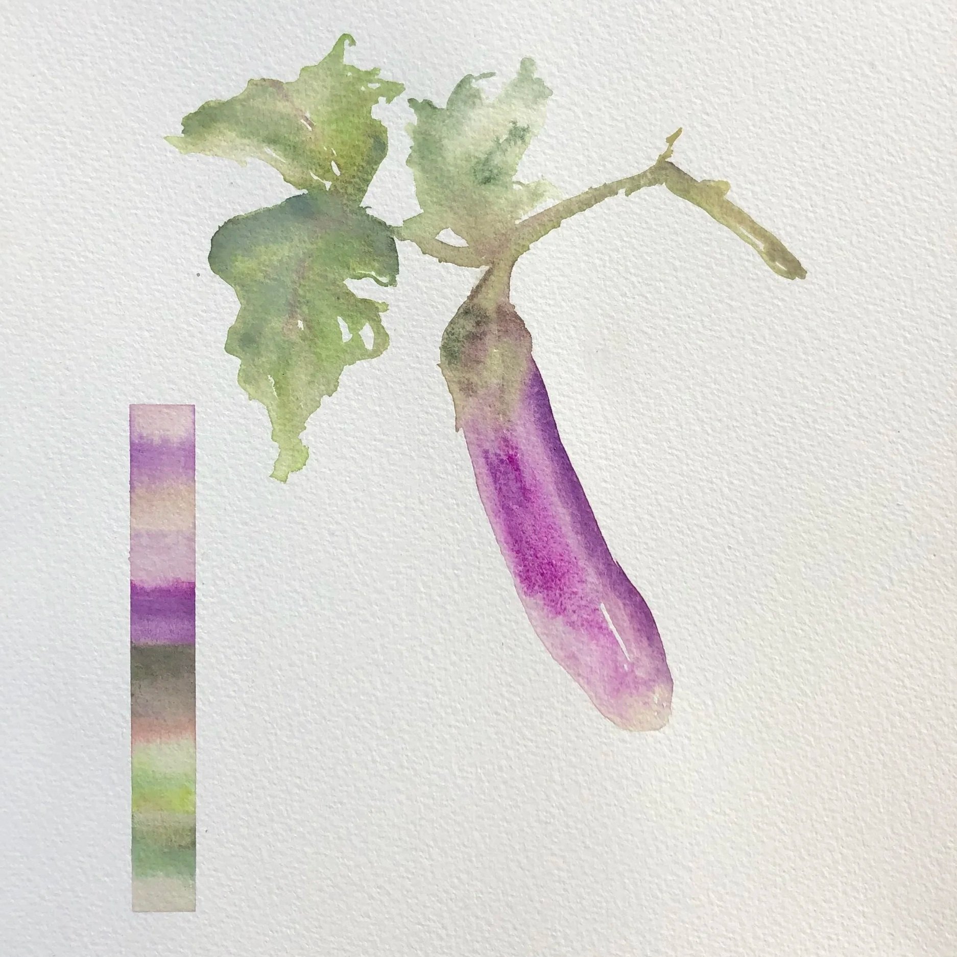 Watercolor painting of a purple eggplant with green leaves and stem, and a color palette strip to the left showing various shades.