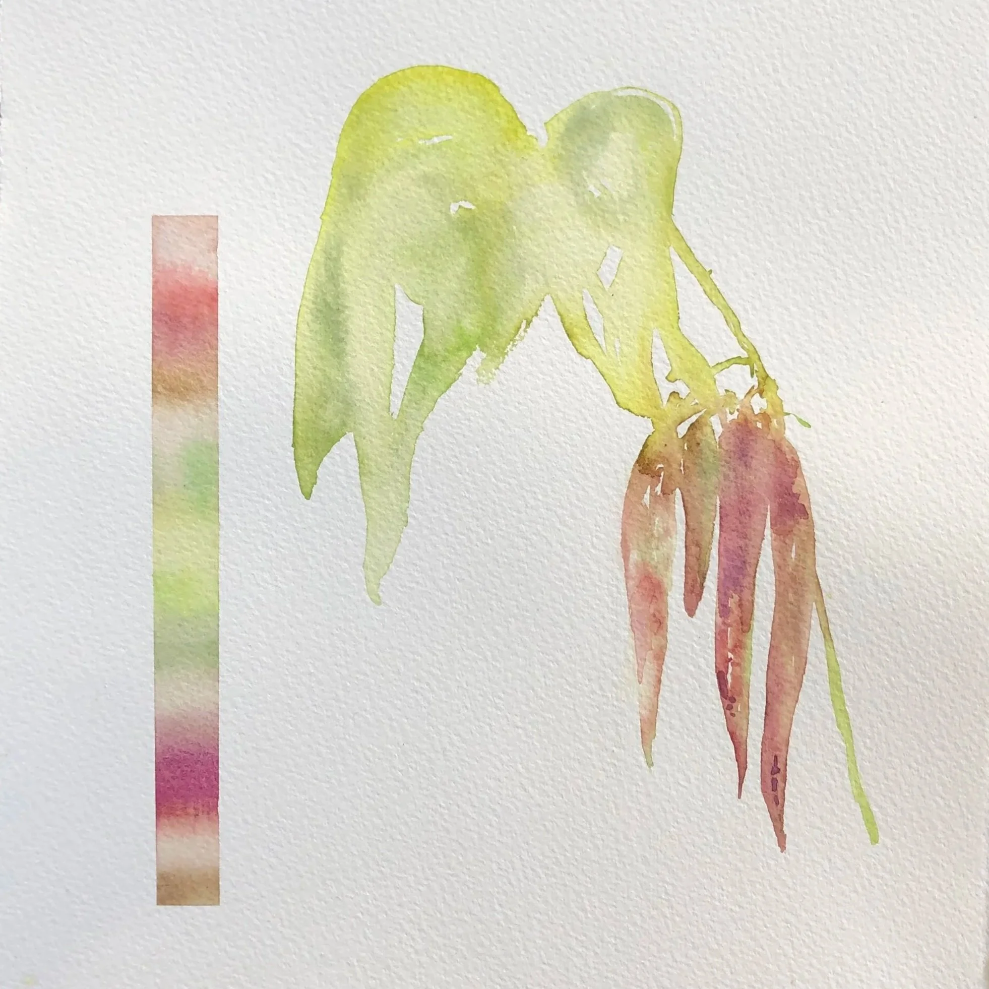 Watercolor painting of a plant with green leaves and reddish-brown hanging flowers or seed pods, accompanied by a vertical color palette on the left side.