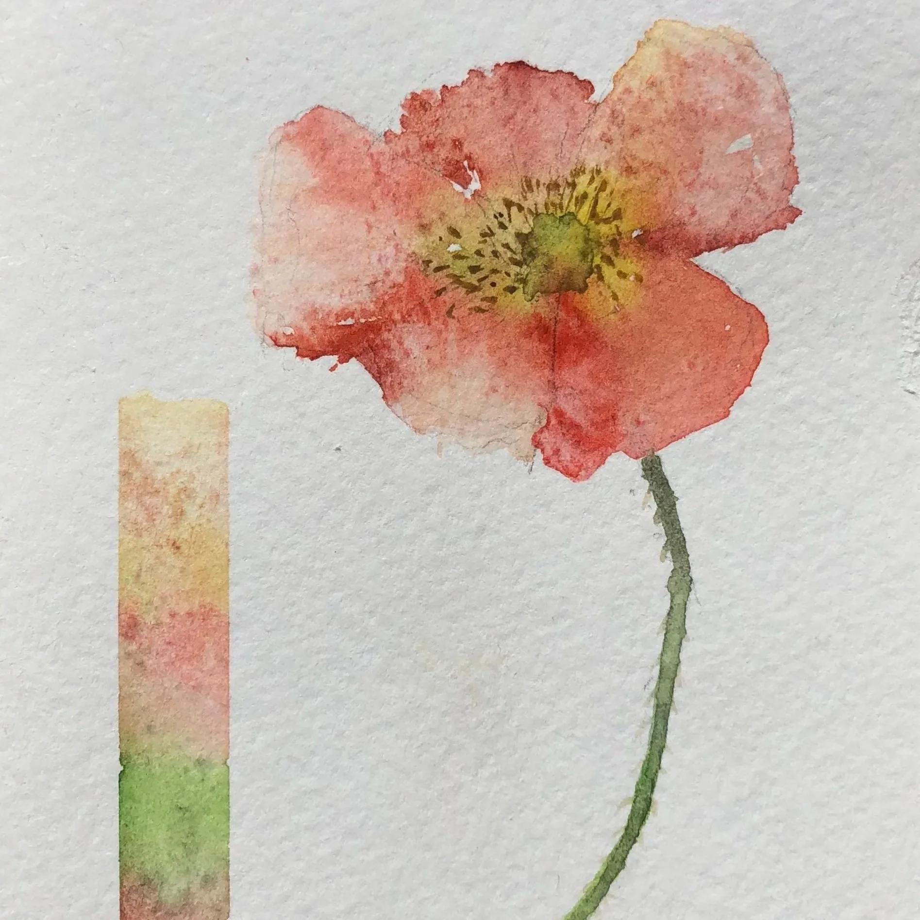 Watercolor painting of a pink poppy flower with green stem on textured paper, with color palette bar on the left.