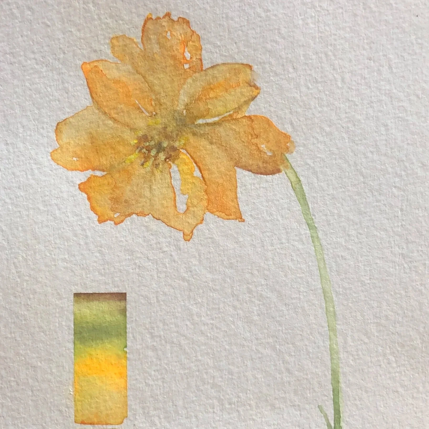 Watercolor painting of an orange flower with a slender green stem, and a small color gradient rectangle beside it.