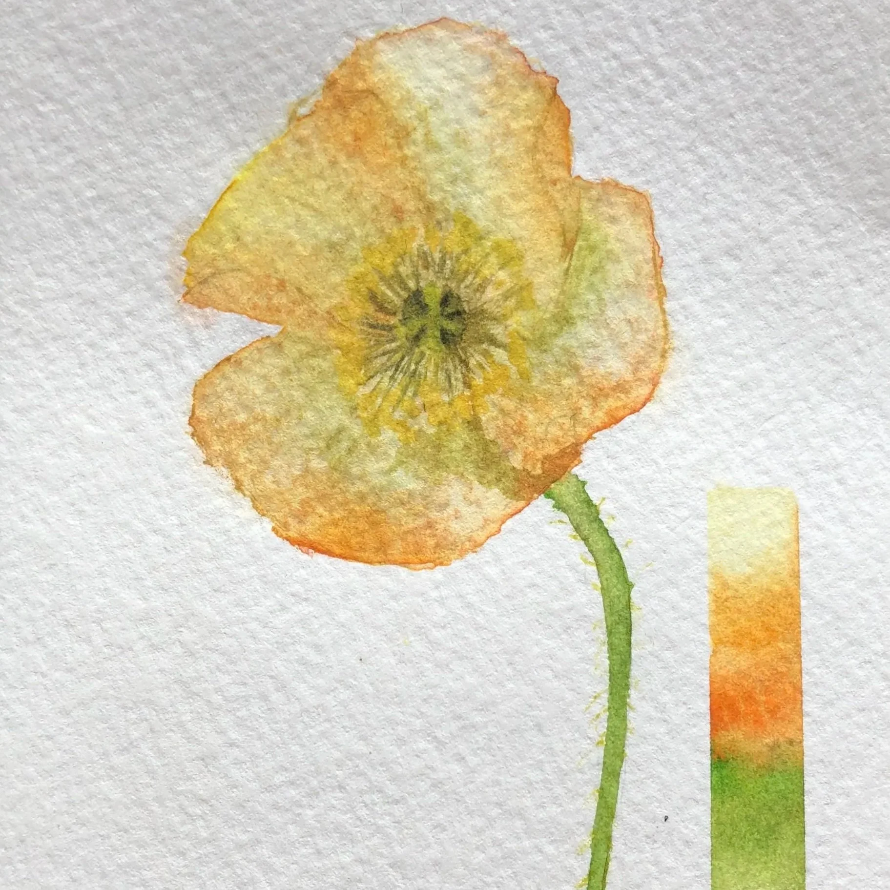 A watercolor painting of a yellow and orange poppy flower with a green stem on textured paper.