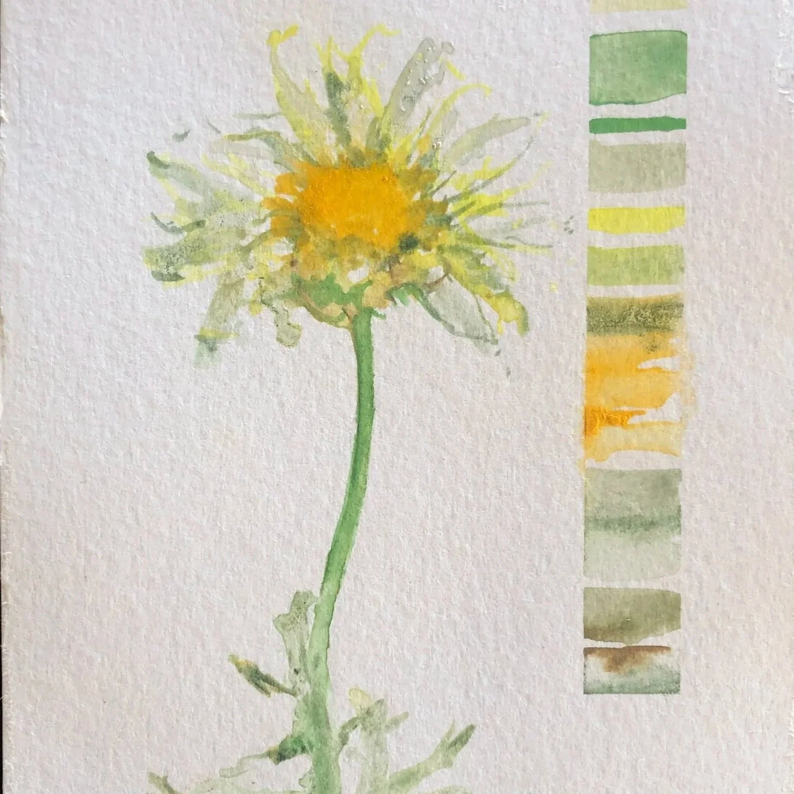 Watercolor painting of a yellow flower with green stem and leaves, accompanied by a color palette with various shades of green and yellow.