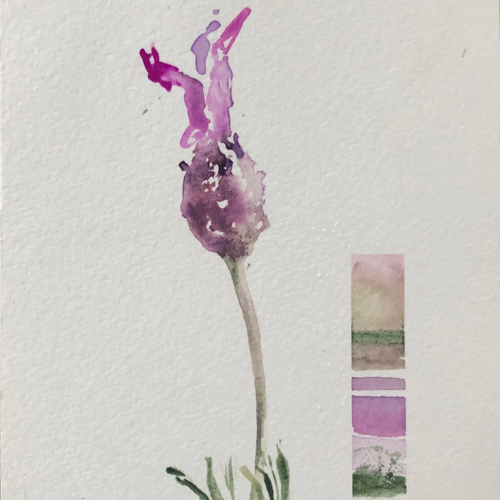 Watercolor painting of a purple flower with a green stem and leaves, alongside a color palette with shades of purple, green, beige, and pink.