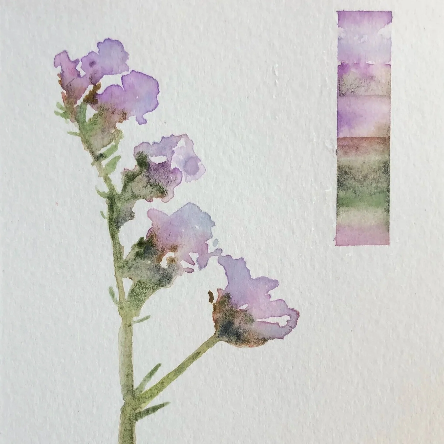 Watercolor painting of a purple flower with green stem on white background, with a vertical strip of a landscape scene in shades of purple, green, and pink on the right side.