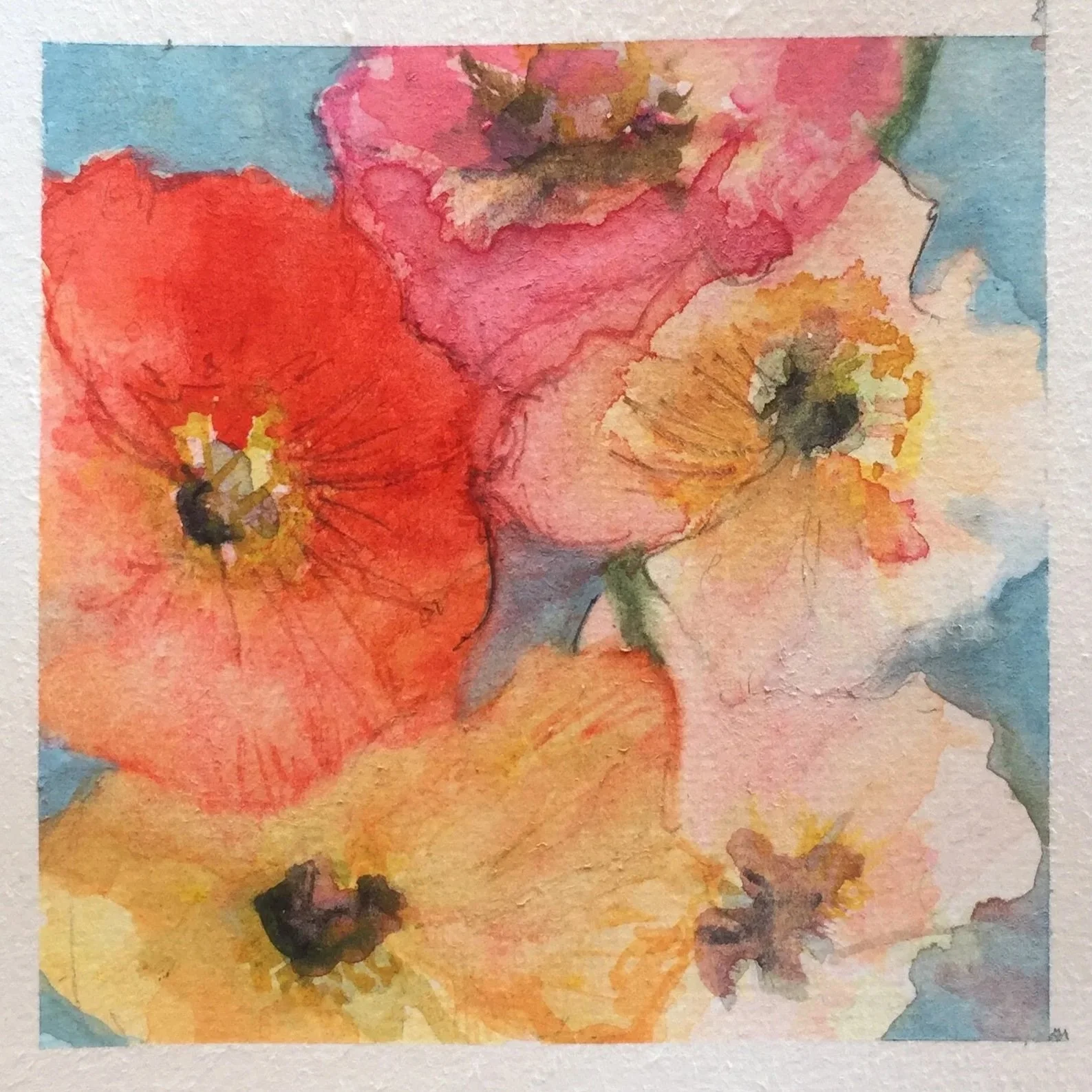 Watercolor painting of colorful poppy flowers in shades of red, pink, yellow, and orange with green stems and a blue background.
