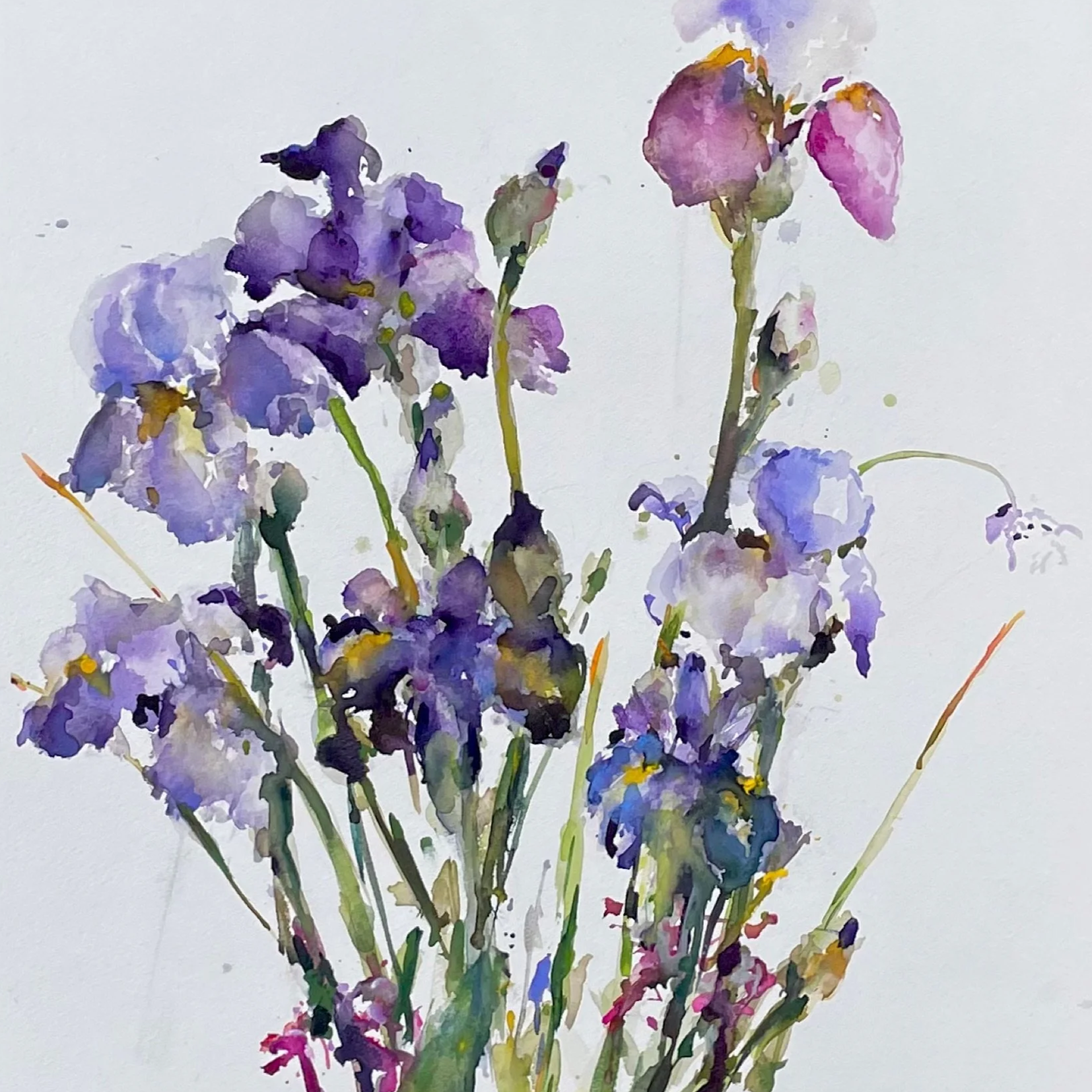 Watercolor painting of purple and pink flowers with green stems on a light background.