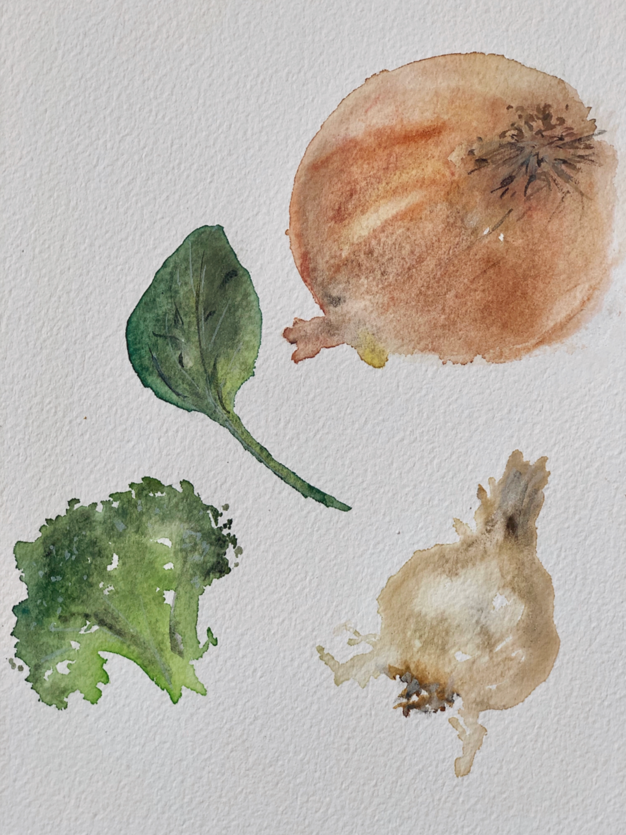 Watercolor illustration of a onion, broccoli, and kale next to a recipe for Coconut Broccoli Soup.