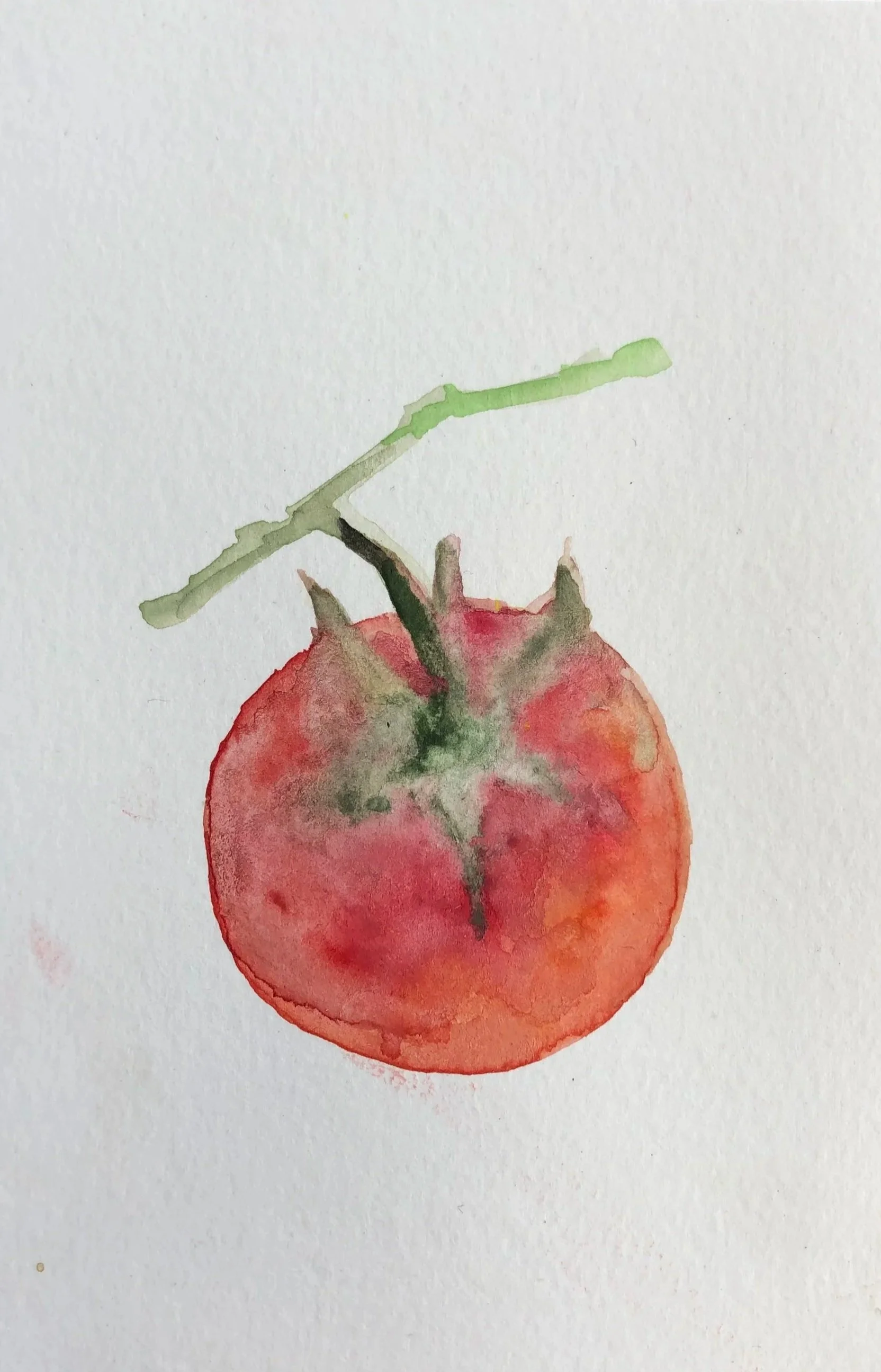Watercolor painting of a single red tomato with green stem and leaf on white background.