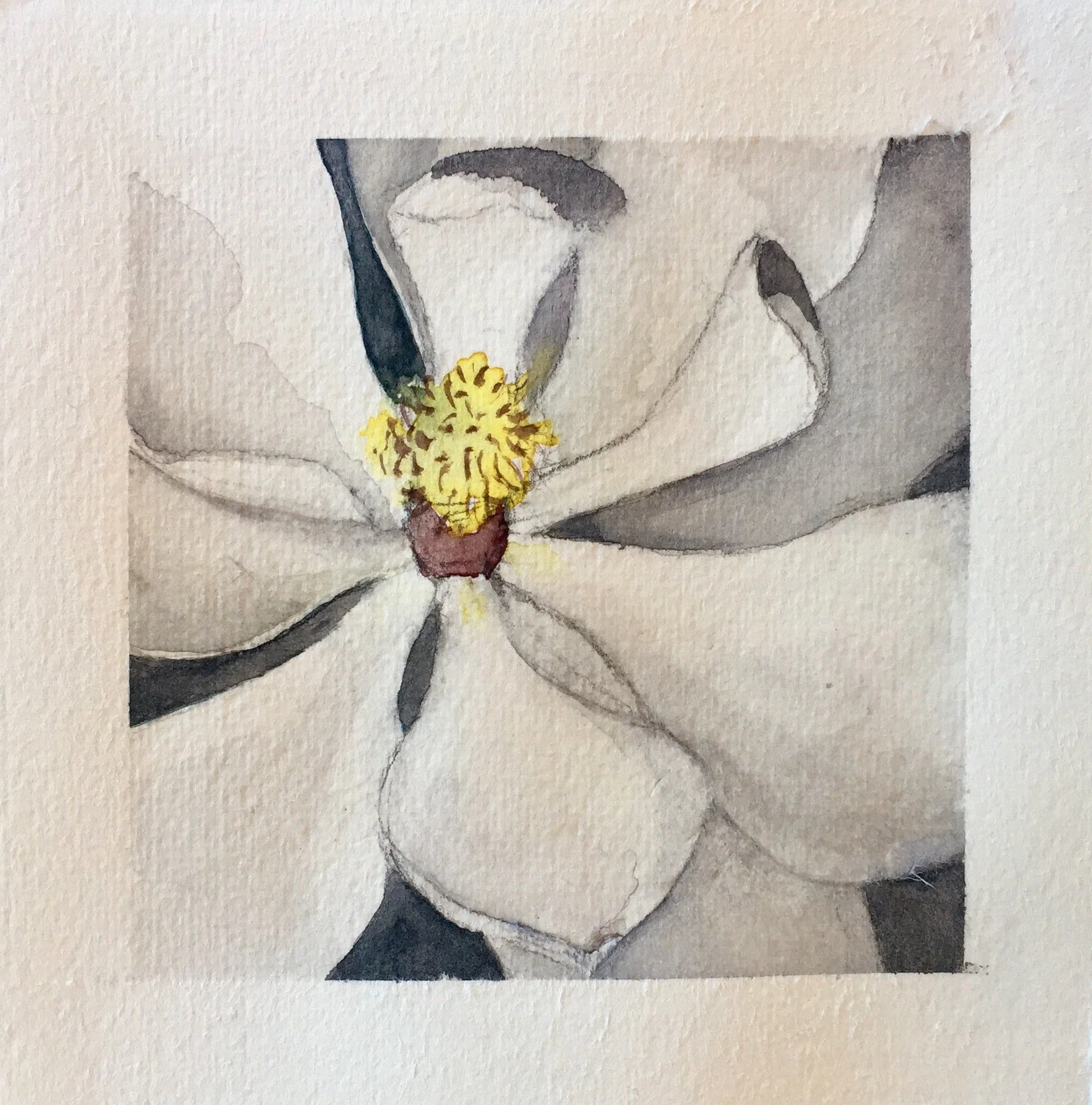 Watercolor painting of a white flower with a yellow center and dark accents.