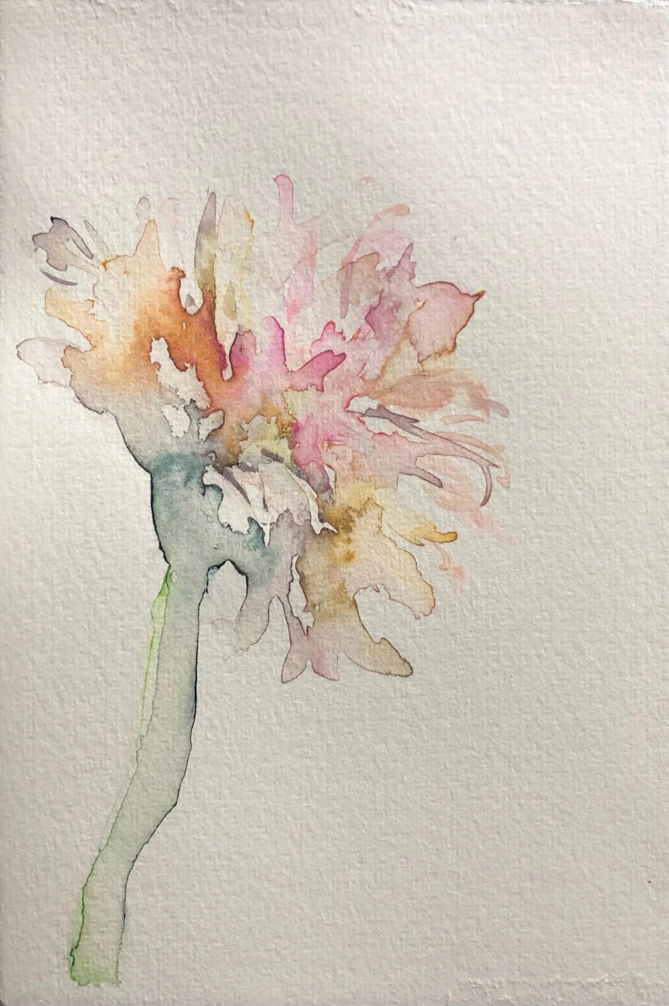 Watercolor painting of a flower with soft pink, orange, beige, and green colors.