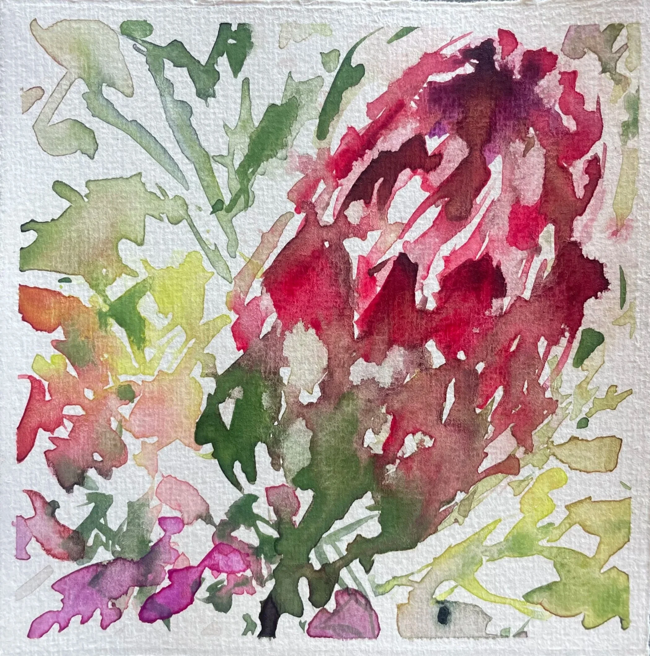 Floral Narrative: Proteas 1.jpg