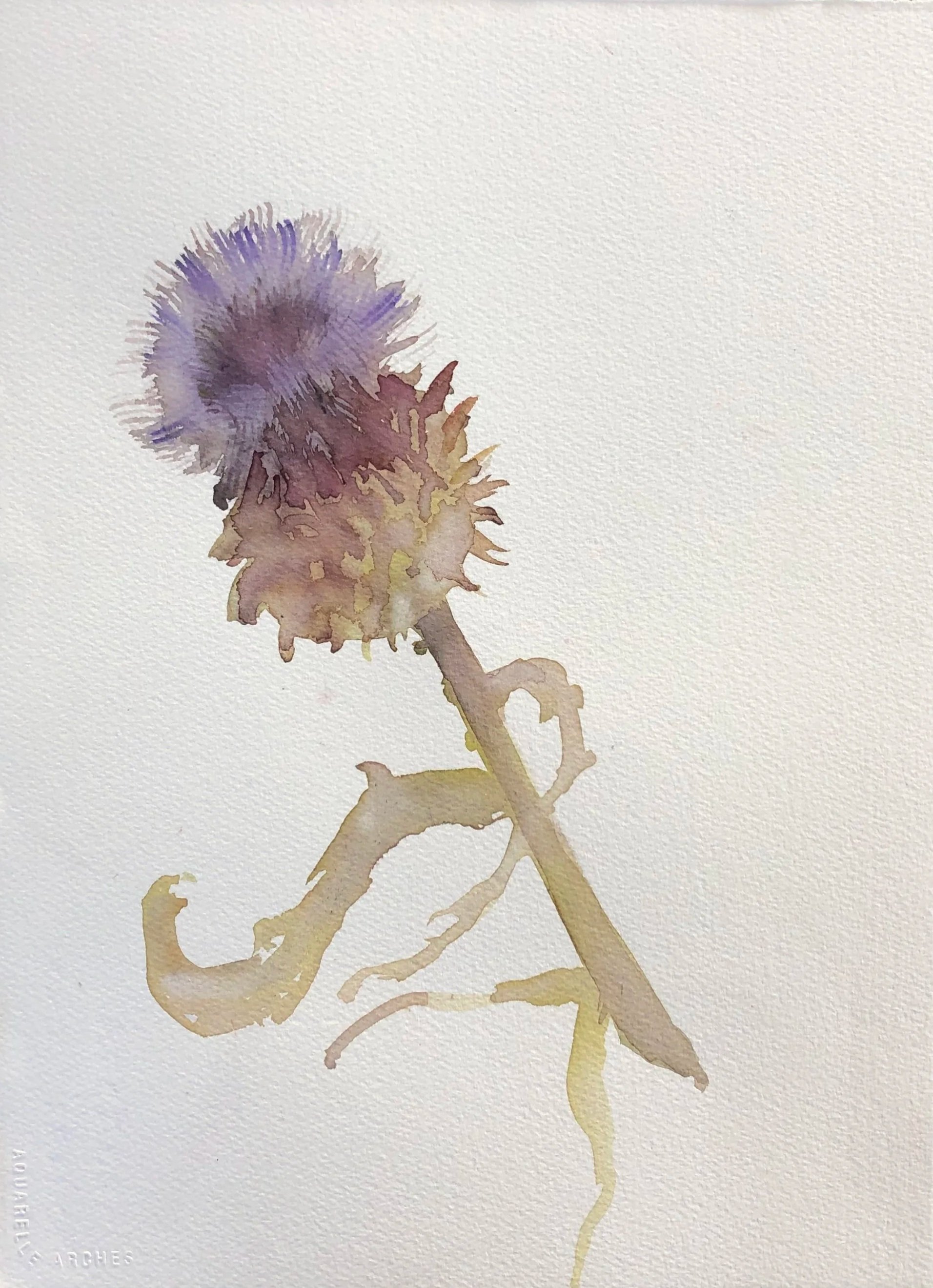 Watercolor painting of a dandelion flower with purple and yellowish hues on a white background.