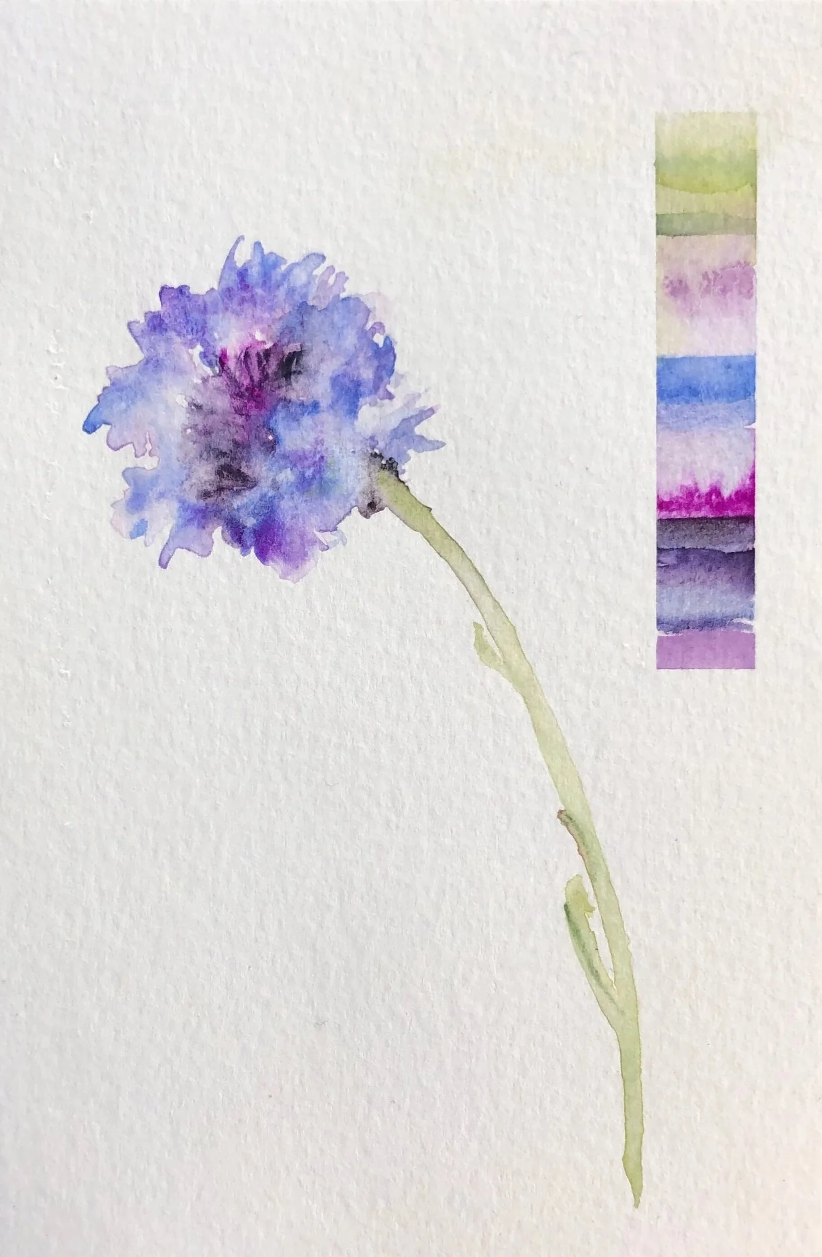 Watercolor painting of a purple flower with a long green stem and a vertical color palette strip with shades of purple, pink, blue, and green.