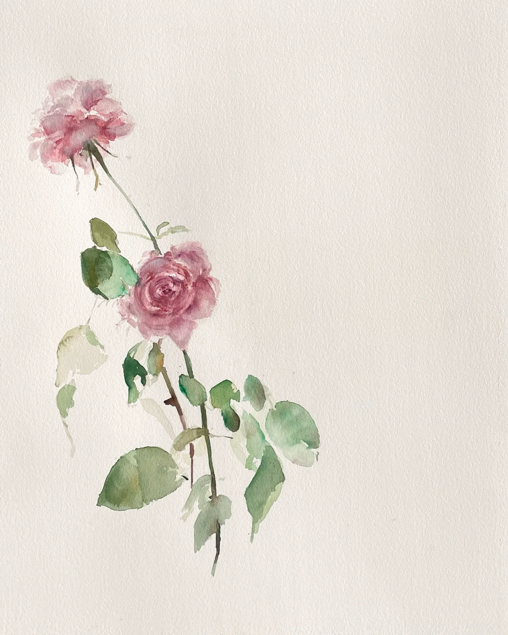 Watercolor painting of a pink rose and pink flower on a green leafy stem