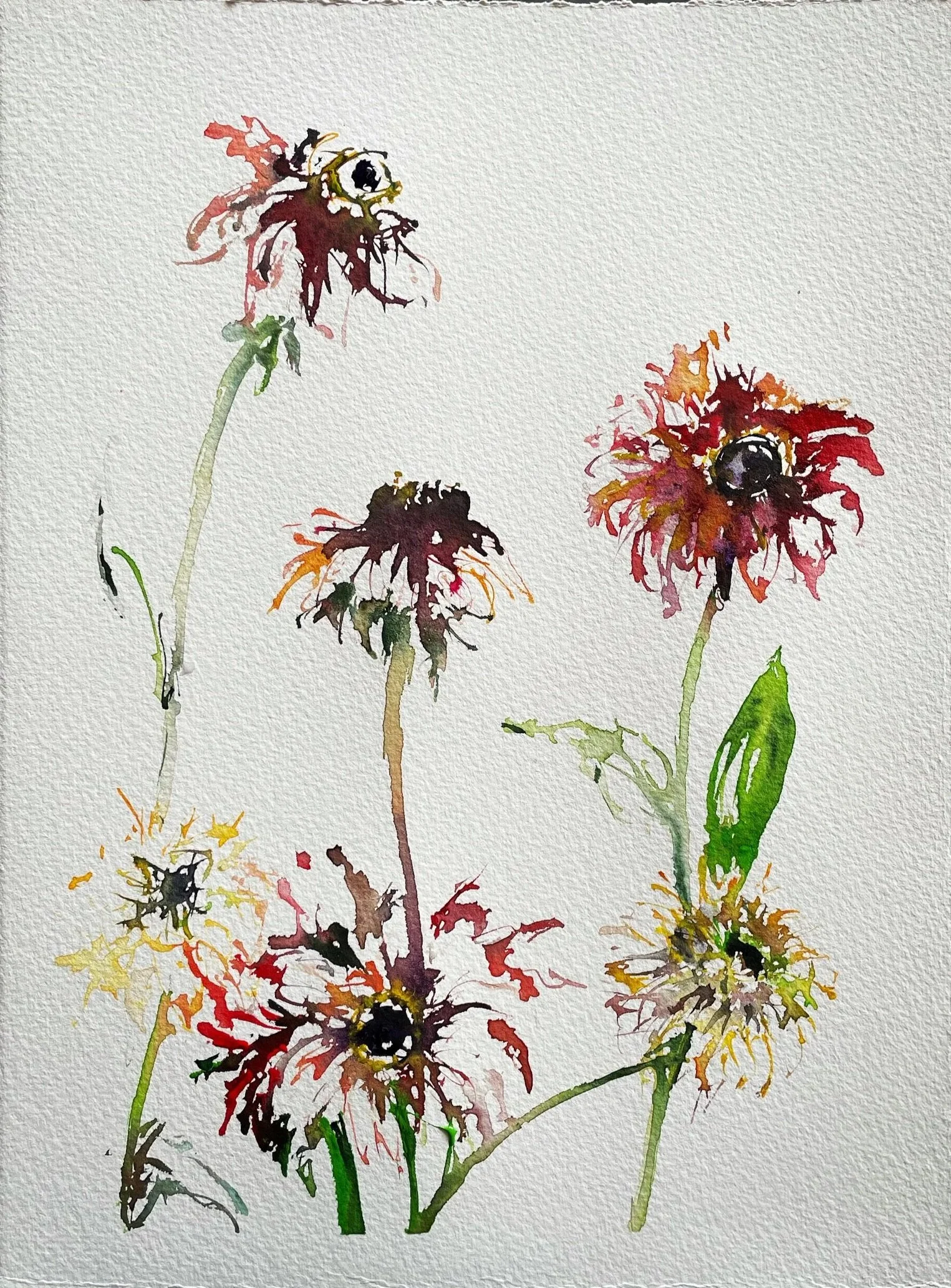 Watercolor painting of several flowers with dark centers and colorful petals on a white background.